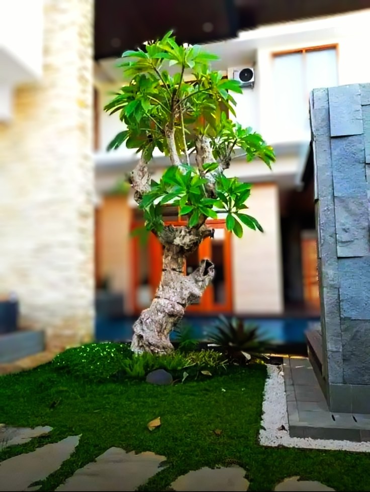 layanan tukang taman jogja